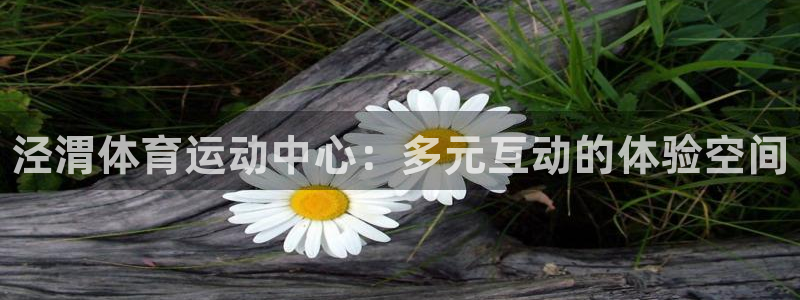 3377体育官网下载招商：泾渭体育运动中心：多元互动