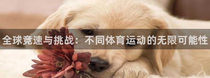 3377体育官方正版app集团官网网址：全球竞速与挑