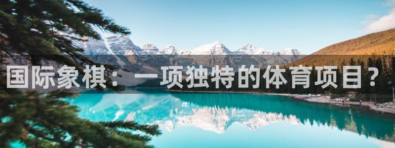 3377体育官方正版app集团官网网址：国际象棋：一