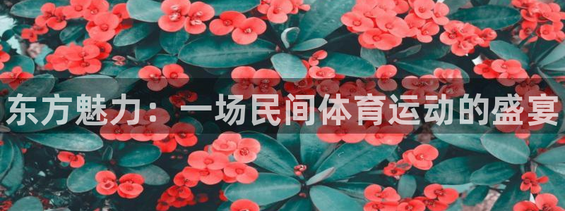 3377体育官网下载平台注册：东方魅力：一场民间体育