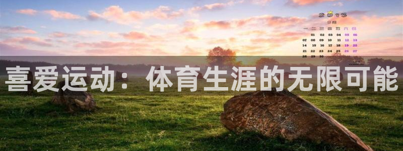 3377体育官网下载是干嘛的公司：喜爱运动：体育生涯