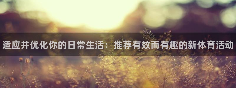 3377体育官方正版app代理：适应并优化你的日常生活：推荐