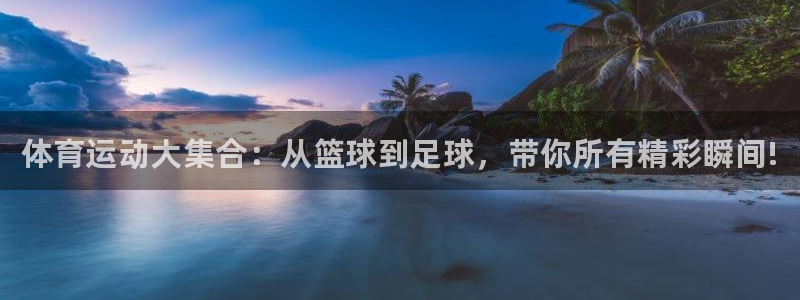 3377体育官方正版app娱乐网站：体育运动大集合：从篮球到