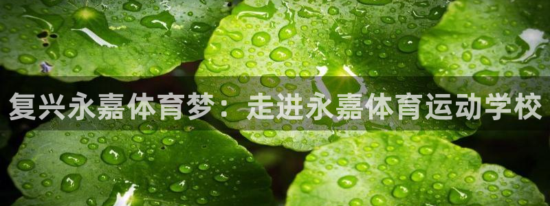 3377体育官网下载平台注册要钱吗安全吗：复兴永嘉体育梦：走