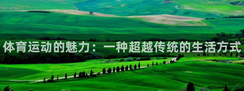 3377体育官方正版app集团官网首页网址：体育运动的魅力：