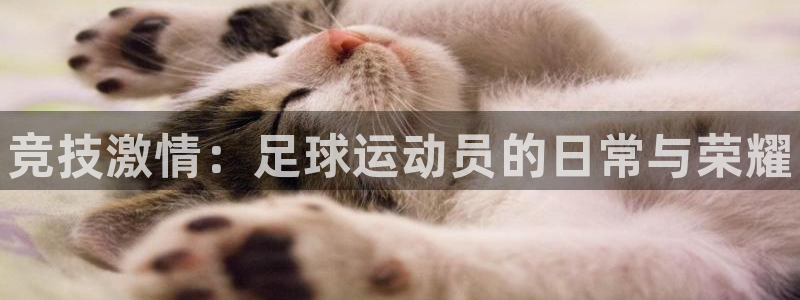 3377体育官网下载招商电话号码是多少号：竞技激情：足球运动