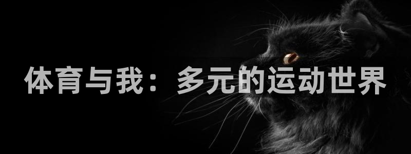 3377体育官网下载平台是正规平台吗安全吗：体育与我