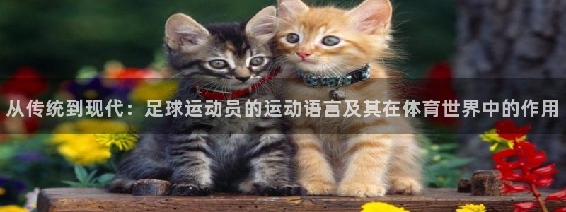 3377体育官方正版app集团官网网址：从传统到现代