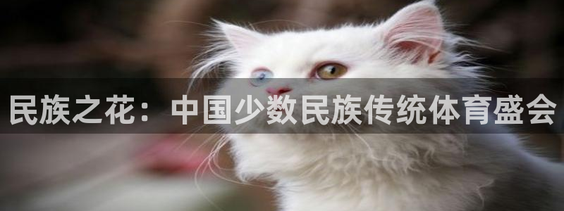 3377体育官方正版app科技：民族之花：中国少数民