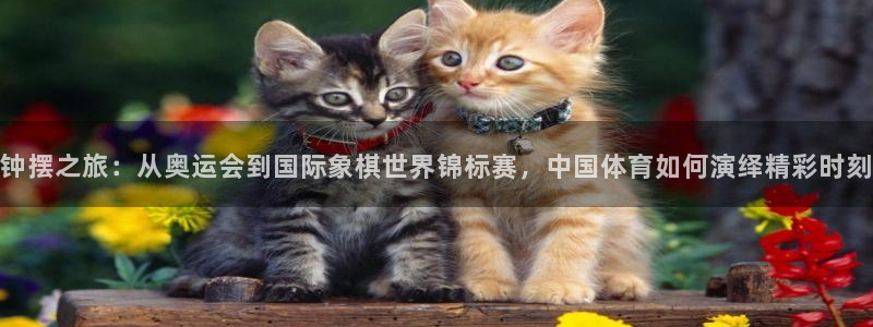 3377体育官网下载招商电话号码是多少号：钟摆之旅：