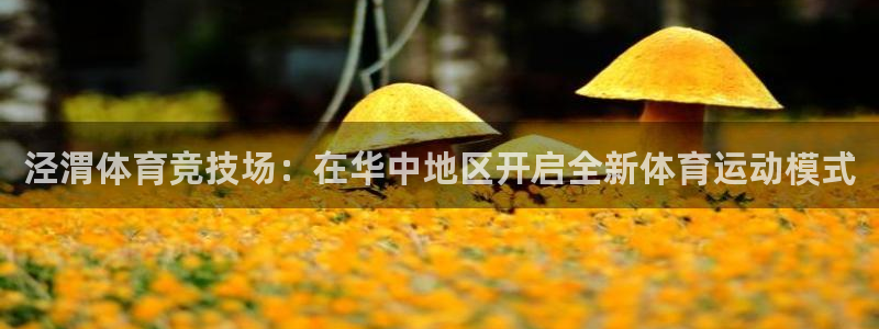 3377体育官方正版app娱乐40996：泾渭体育竞技场：在