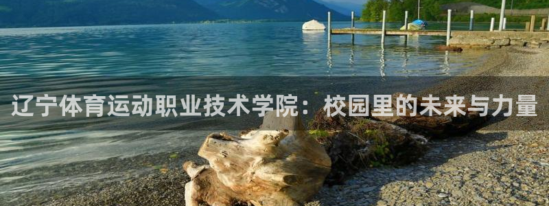 3377体育官方正版app集团官网首页：辽宁体育运动