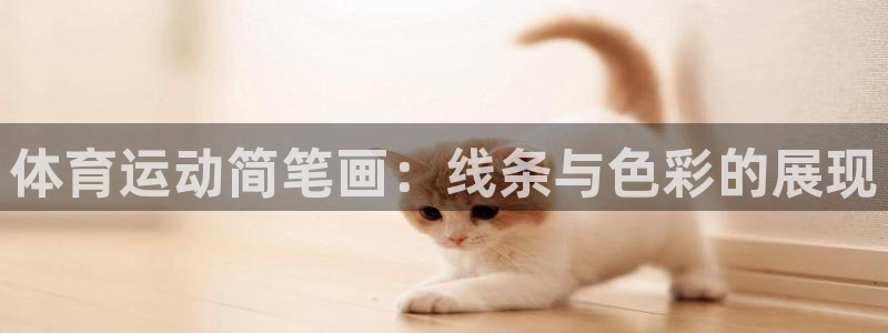 3377体育官方正版app官方：体育运动简笔画：线条