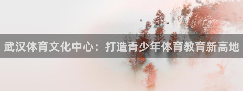 3377体育官方正版app官方：武汉体育文化中心：打