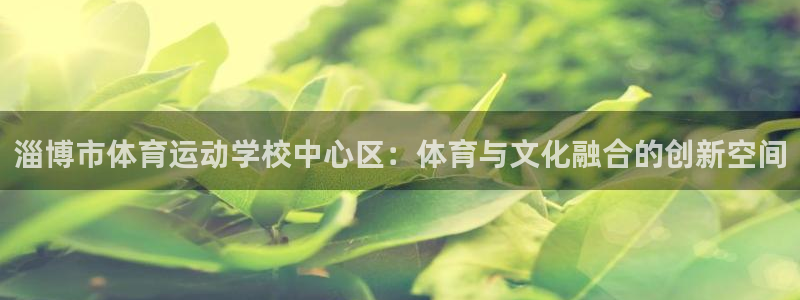 3377体育官方平台体育：淄博市体育运动学校中心区：