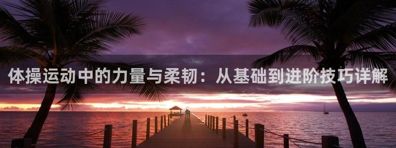 3377体育官方正版app科技：体操运动中的力量与柔韧：从基