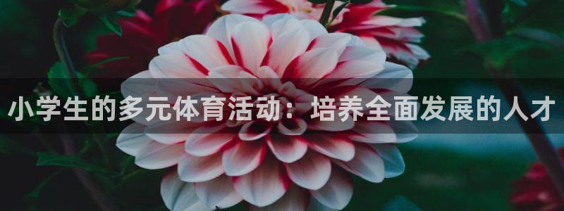 3377体育官方正版app娱乐下载：小学生的多元体育