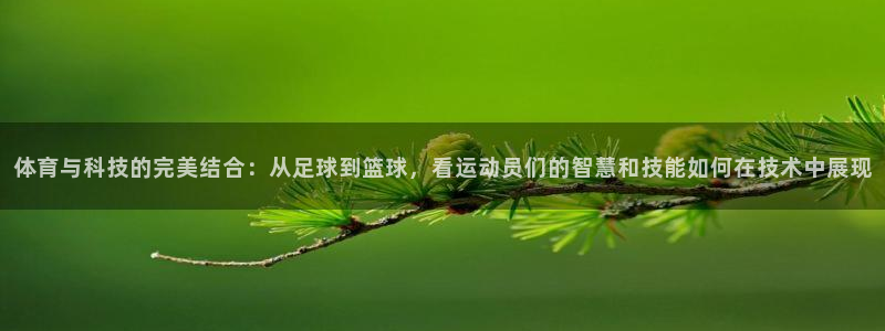 3377体育官网下载官方客服电话：体育与科技的完美结合：从足