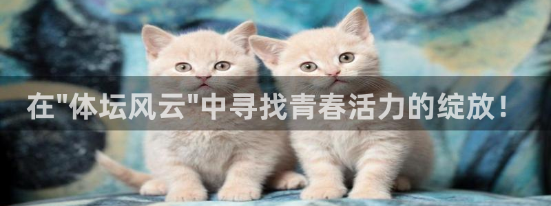 3377体育官方正版app集团官网首页：在\