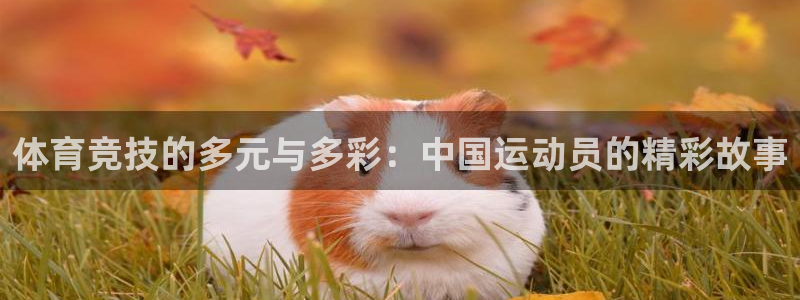 3377体育官网下载招商电话号码是多少：体育竞技的多元与多彩