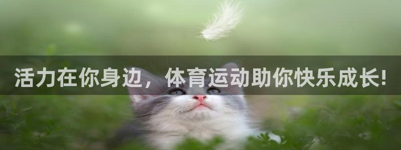 3377体育官网下载招商电话号码是多少啊：活力在你身边，体育