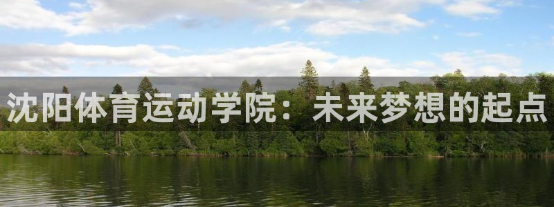 3377体育官网下载平台注册流程图：沈阳体育运动学院