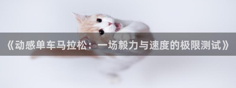  3377体育在哪个国家运营：《动感单车马拉松：一场毅力与速度