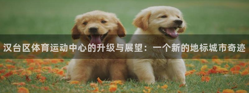 3377体育为什么提不出来：汉台区体