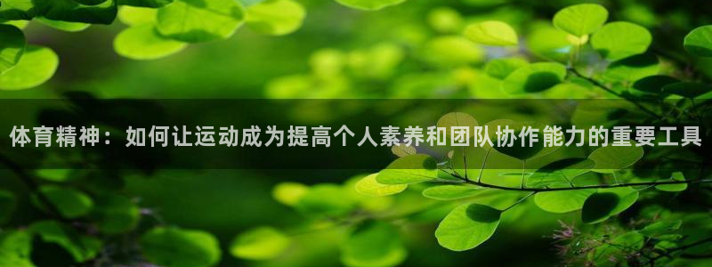 3377体育黑款吗：体育精神：如何让