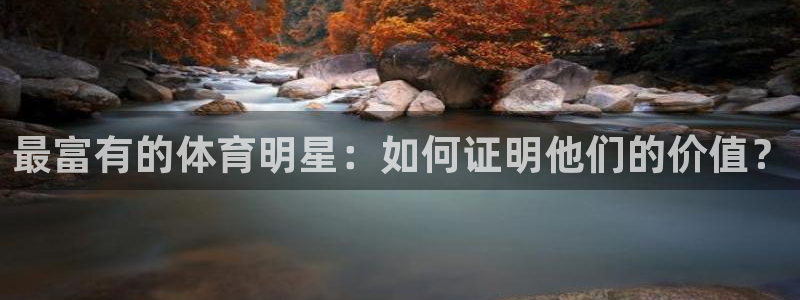  3377体育手机平台：最富有的体育明星：如何证明他们的价值？