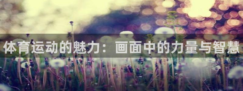 3377体育提款失败的原因分析：体育运动的魅力：画面中的力量
