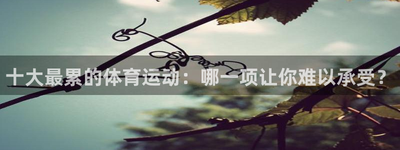 3377体育在线官网：十大最累的体育运动：哪一项让你难以承受