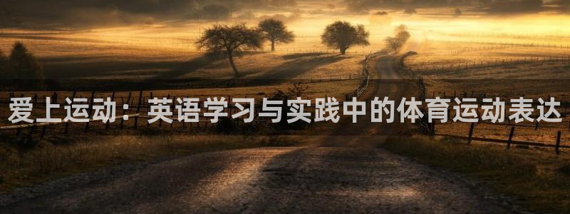  3377体育电子：爱上运动：英语学习与实践中的体育运动表达