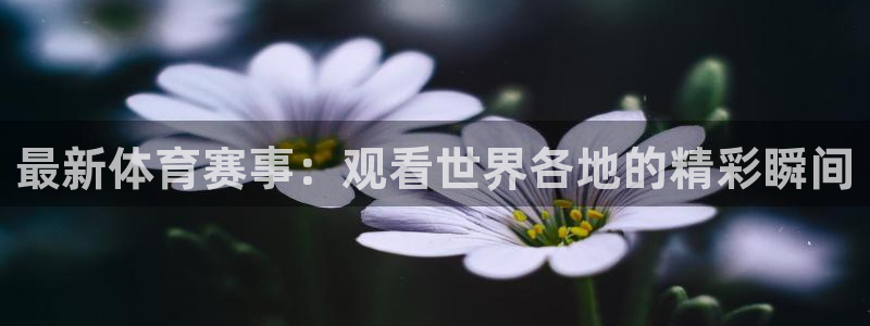 3377体育现在叫什么：最新体育赛事
