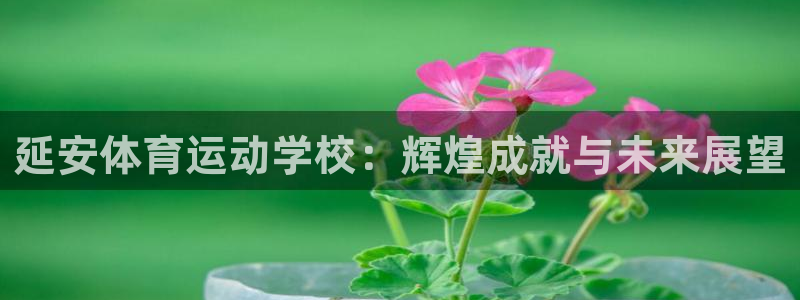 3377体育属于国家打击范围吗